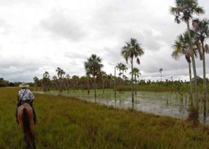 colombia1_wpdcGr9 colombia