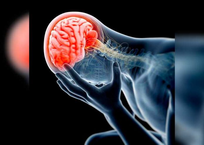 comecerebros meningoencefalitis amebiana primaria