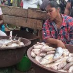 Normalizan paulatinamente actividades comerciales en el Caribe nicaragüense nicaragua