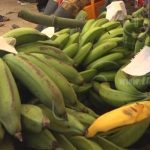 Anuncian concurso para productores sobre manejo de plátanos en Nicaragua nicaragua