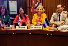 Nicaragua en cuarta reunión de población y desarrollo CEPAL, 2019 nicaragua
