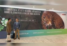 Nicaragua participa en conferencia sobre el comercio ilegal de vida silvestre peru