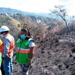 incendios forestales