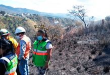 Más de 260 hectáreas consumidas por los incendios en Guatemala incendios forestales