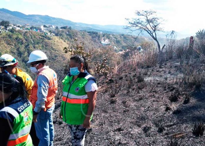 incendios forestales