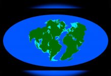 VIDEO: Así se formarán nuevos continentes en la Tierra movimientos tectonicos
