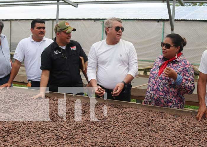 cooperativa-cafe-3 nicaragua