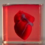 Crean el primer corazón humano impreso en 3D crean