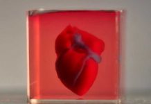 Crean el primer corazón humano impreso en 3D crean
