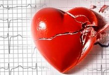 Realizan vasos sanguíneos para recuperar corazones infartados realizan