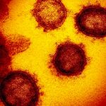 El volumen mundial del coronavirus cabría en una lata de refresco coronavirus