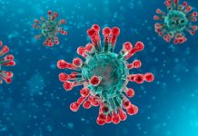 Nicaragua ratifica su compromiso en la lucha contra el Coronavirus nicaragua