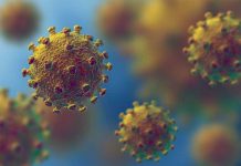 Ya no hay respeto: Así se sueltan los memes del Coronavirus mundo