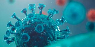 coronavirus