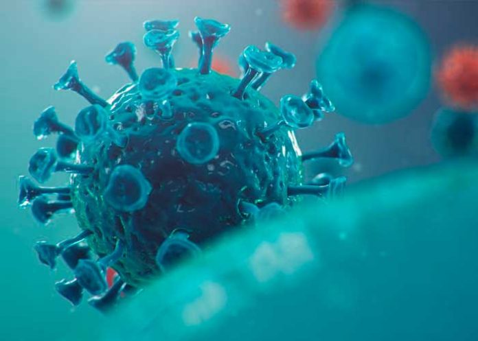 coronavirus