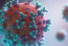 Dos nuevos casos positivos de coronavirus en Nicaragua nicaragua