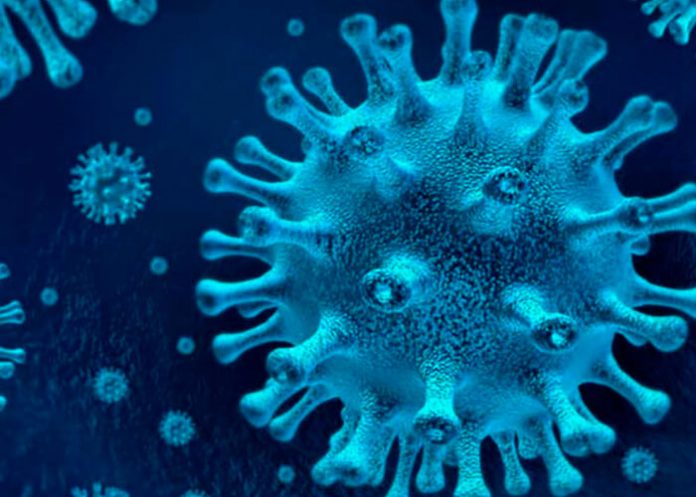 coronavirus-s nicaragua