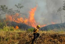 Incendios forestales afectan las áreas protegidas en Costa Rica costa rica