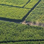 Opinión: Fortaleza para el crecimiento económico de Nicaragua nicaragua