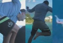 Compañía de cruceros vetó a un pasajero que se lanzó desde un balcón y se hizo viral