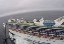 21 casos de coronavirus en crucero frente a costas de EE.UU. estados unidos