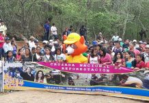Lanzamiento de la Cruzada Nacional de Reforestación en Matagalpa nicaragua