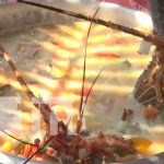 Realizan lanzamiento del festival gastronómico Sabores de Cuaresma en Ocotal nicaragua