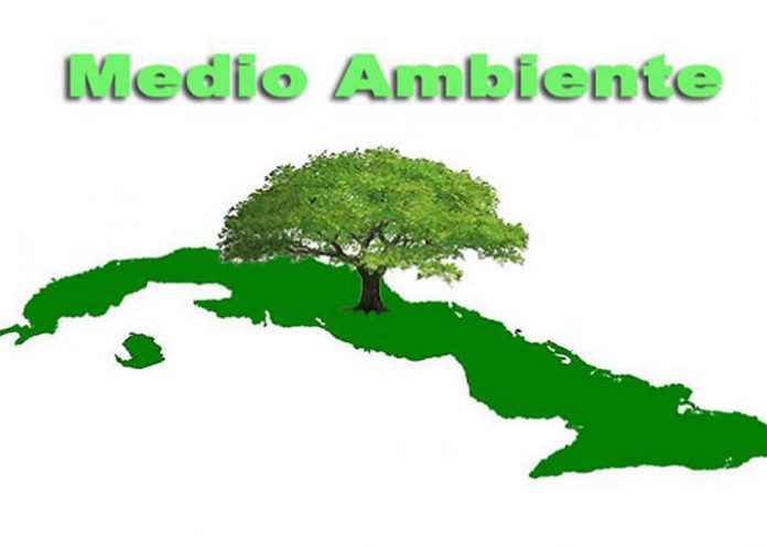 cuba-reforestacion cuba