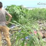 Encuentran cuerpo en las costas del Lago de Managua nicaragua