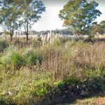 Argentina: Hallan cuerpo semidesnudo de una mujer en un descampado argentina