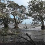 Encuentran cuerpo tras naufragio de bote pesquero en el Lago Cocibolca nicaragua