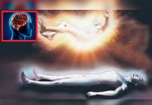 Insólito: Esto le pasa a nuestro cerebro al momento de morir cerebro