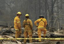 Desgarradora búsqueda de cuerpos en tierra arrasada por incendios que dejan 50 muertos en California estados unidos