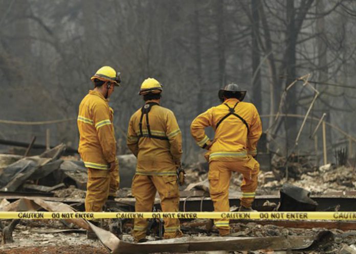cuerpos estados unidos