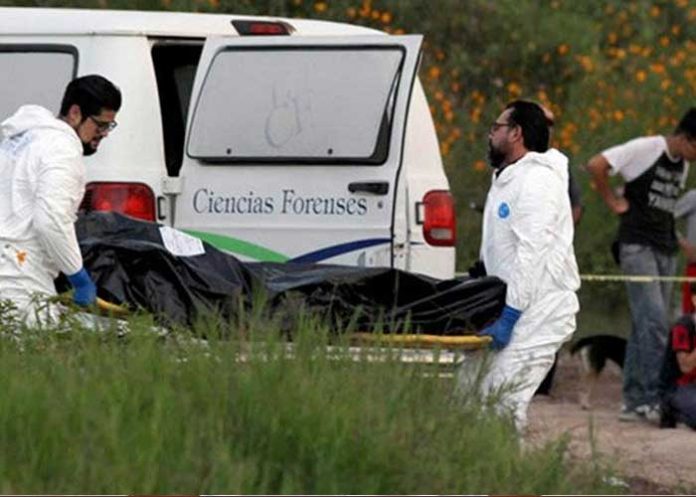 cuerpos-finca-jalisco mexico