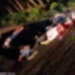 Nueva masacre: Hallan 12 cuerpos maniatados en Veracruz, México mexico