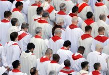 Vaticano considera ordenar hombres casados para la Amazonía vaticano