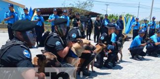 nicaragua, canina, curso, cinofila, policia,