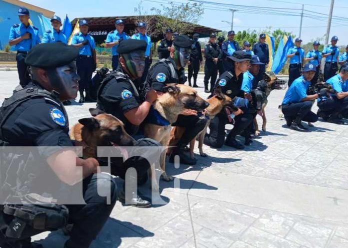 nicaragua, canina, curso, cinofila, policia,