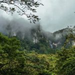 MARENA e INAFOR fortalecen trabajos para la protección de los recursos naturales nicaragua