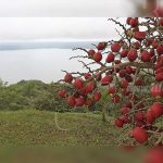 INTUR realiza el lanzamiento de destinos turísticos de Diriá nicaragua