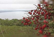 INTUR realiza el lanzamiento de destinos turísticos de Diriá nicaragua