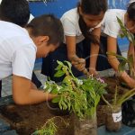 Nicaragua con dinámica actividad forestal en lo que va del año nicaragua