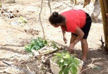 «Sembrando y Cosechando», lema de mujer emprendedora en Granada nicaragua