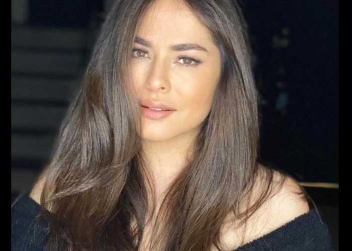 dana-m entretenimiento