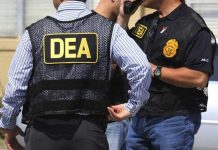 Exagente de DEA admite que colaboró con narcotraficantes estados unidos