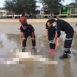 Encuentran a 2 decapitados y 1 cabeza en playas de Tailandia tailandia