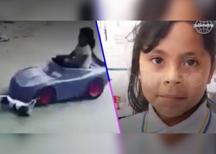 declaraciones-nina-atropello-al-gato mexico