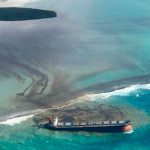 Hallan delfines muertos en playas de Mauricio tras derrame de petróleo africa