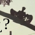 «Demonio de Managua» fue creado por youtuber de TN8 nicaragua